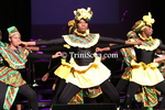 tgacC2811181774.jpg