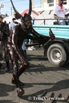 pfbd0305082197.jpg
