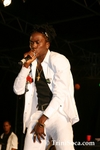 sfsC1207080629.jpg