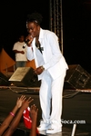 sfsC1207080631.jpg