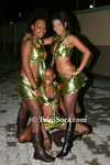 dtC1010084420.jpg