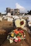 alfL1111092417.jpg