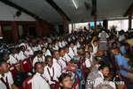 npjC2801107126.jpg