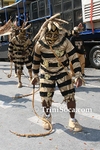 ctC1602103251.jpg