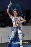 csmcC1902111676.jpg