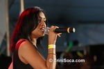 csmcC1902111970.jpg