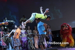 csmcC1902112026.jpg