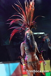 csmcC1902112709.jpg