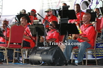 cfL2602116046.jpg