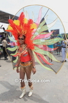 ctqpsC0803115965.jpg