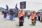 ctqpsC0803115972.jpg