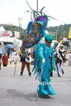 ctqpsL0803119992.jpg