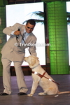 cospC1203118615.jpg