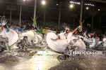 ctqpsL0803110632.jpg