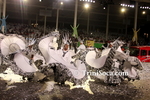 ctqpsL0803110643.jpg