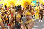 dctM0803112014.jpg