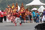 rcccC2602111813.jpg