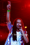 mtrL2802117665.jpg