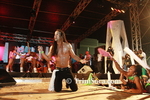 gpL0403113075.jpg
