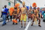 rcblC1808119020.jpg