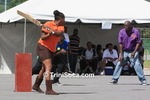 tfdC0611110337.jpg