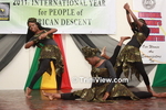 nwacC20115521.jpg