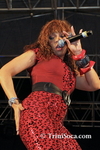 lno0302127451.jpg