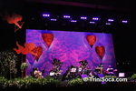 dciC1402124822.jpg