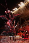 mmmC2002124364.jpg