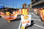 kcM1802128096.jpg