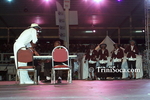 dgL1902120750.jpg