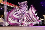 dgL1902121392.jpg