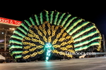 dgL1902125243.jpg