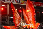dgC1902121796.jpg
