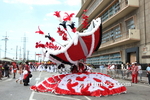 dctM2102122860.jpg
