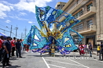 dctL2102123173.jpg