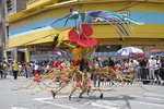 dctL2102123309.jpg