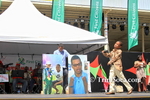 tfjcmL0402130724.jpg