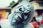 jipL1102138971.jpg