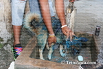 jipAk1102138511.jpg