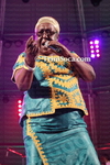lnoM2501135231.jpg
