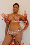 racblC2908138450.jpg