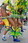 racblC2908138899.jpg