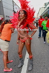 racblC2908139006.jpg