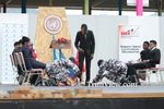 jcmL2402143605.jpg