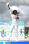 nsm2501080372.jpg