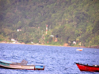 Damian Bay